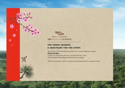 Chinju No Mori — A Sanctuary for the Spirit