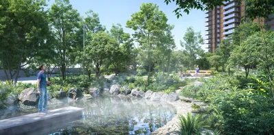 Forest — Mist Pond