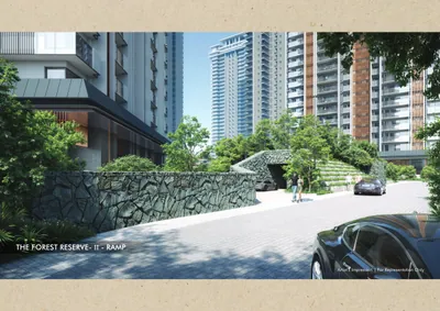 The Forest Reserve - II — Ramp