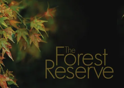 Where Timeless Japanese Design Concepts Come to Life