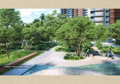 Forest from Kid's Pool