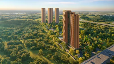 Terrace View